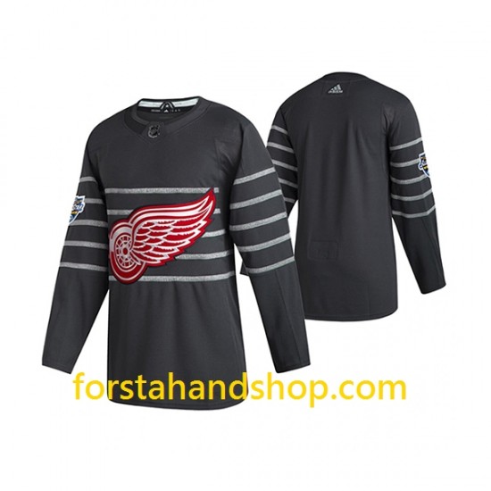 Detroit Red Wings Tröjor Adidas 2020 All-Star Grå Authentic