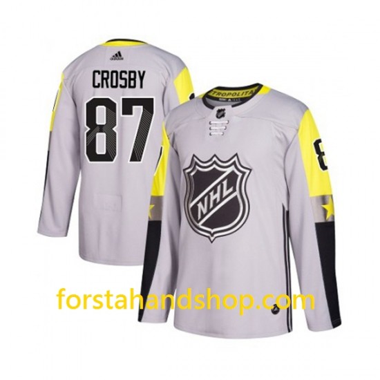 Pittsburgh Penguins Tröjor Sidney Crosby 87 Adidas 2018 All-Star Grå Authentic