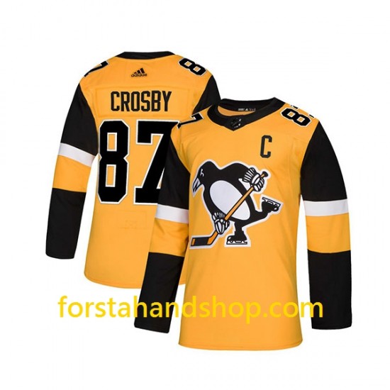Pittsburgh Penguins Tröjor Sidney Crosby 87 Alternate Adidas 2018-19 Authentic
