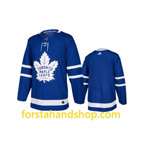 Toronto Maple Leafs Tröjor Auston Matthews 34 Adidas Blå Authentic